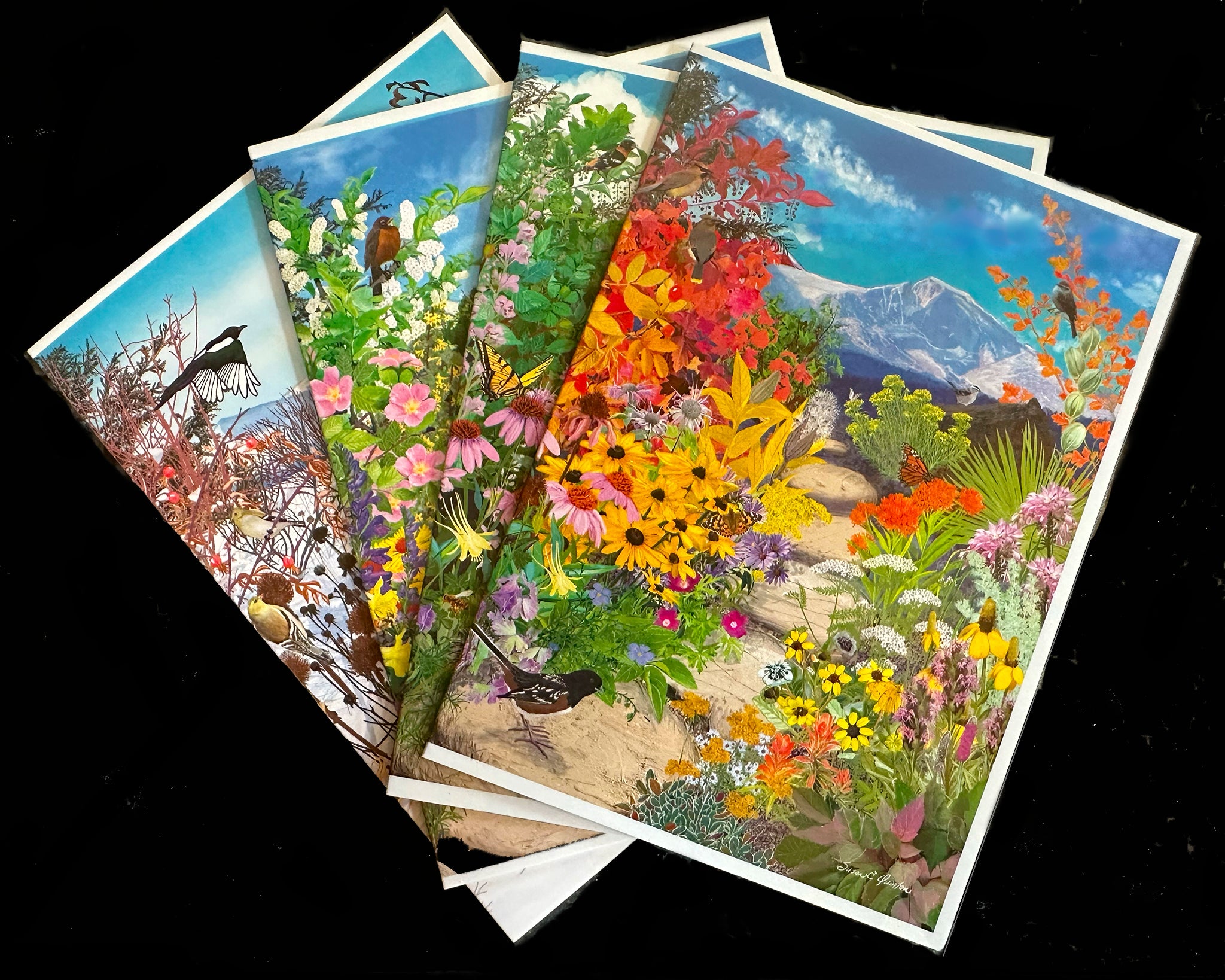 Through the Seasons Greeting Cards