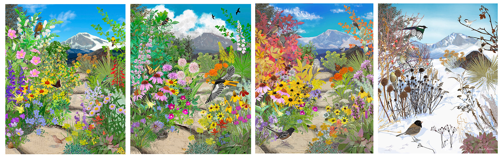 Through the Seasons: A Rocky Mountain Front Range Native Wildflower Garden – Set of all 4 20 x 16 in Canvas panels