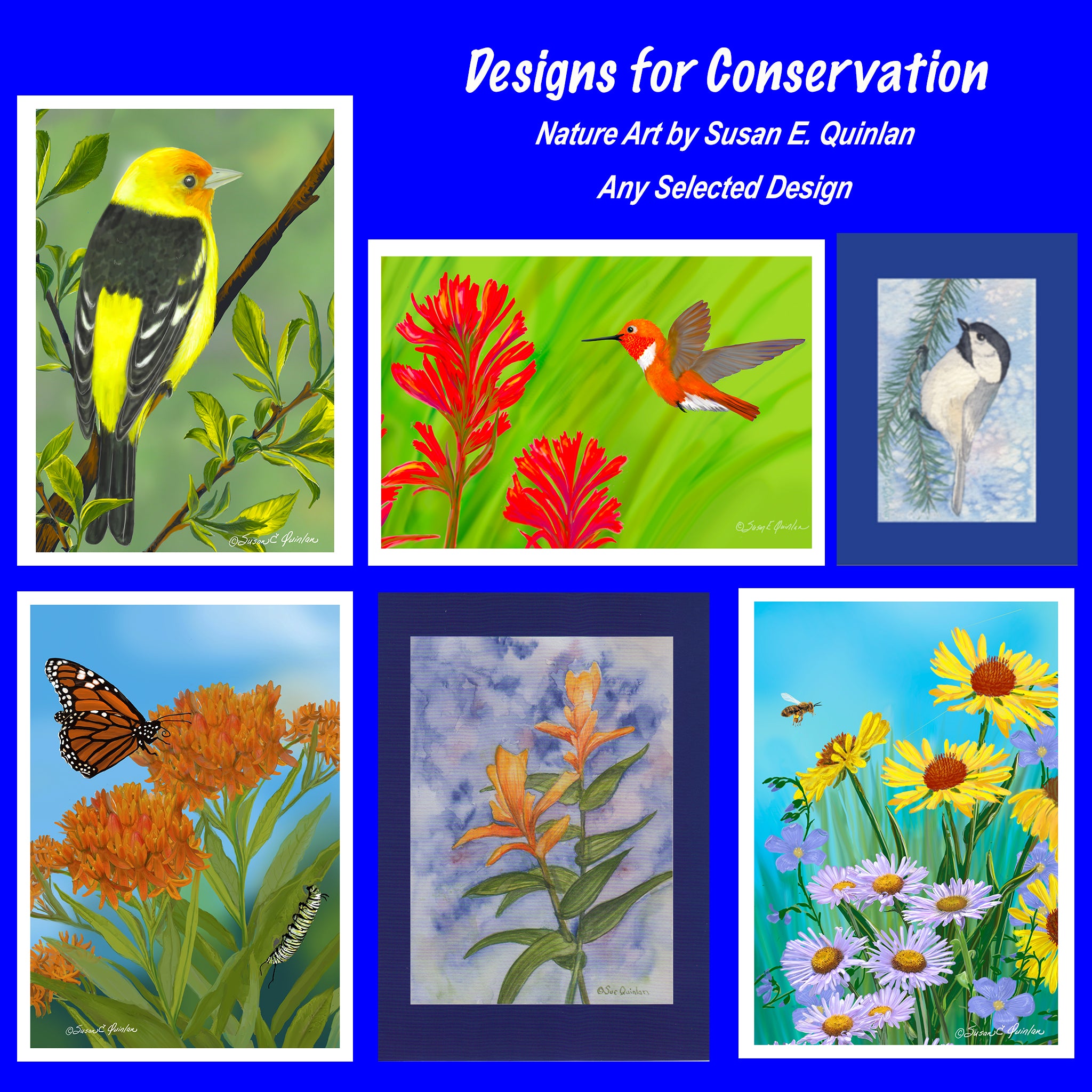 BCF Special GREETING CARD - ANY STYLE