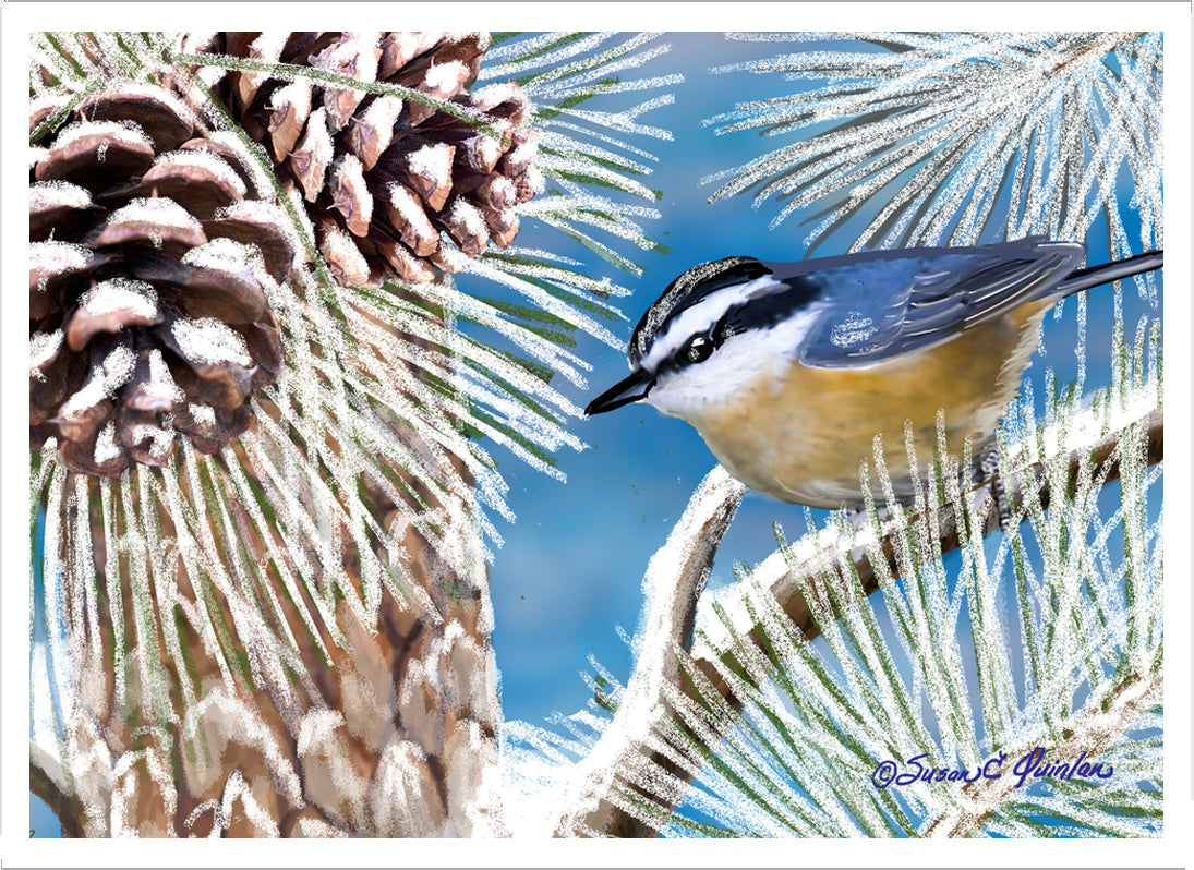 Winter Nuthatch Greeting Card