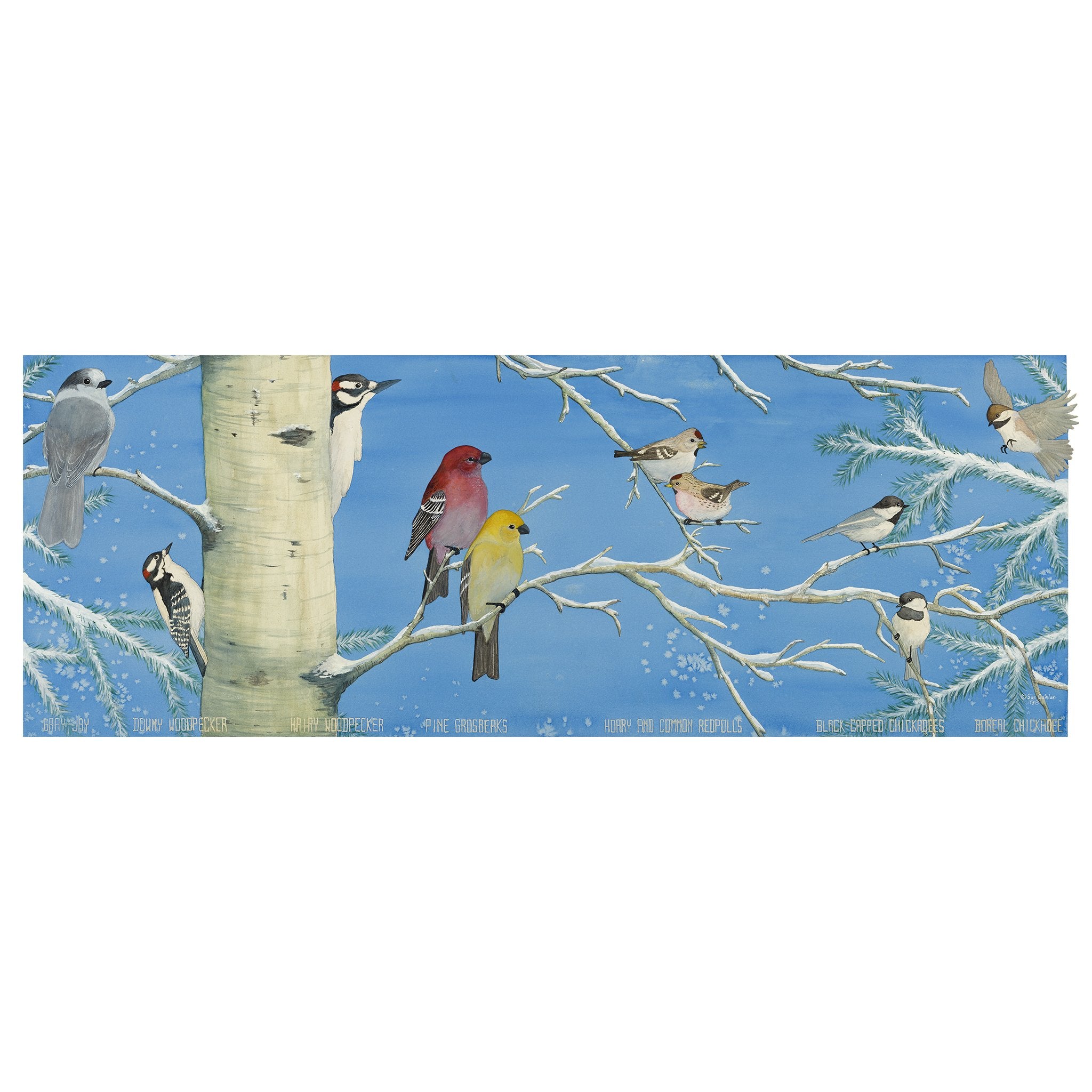 WINTER VISITORS CARD