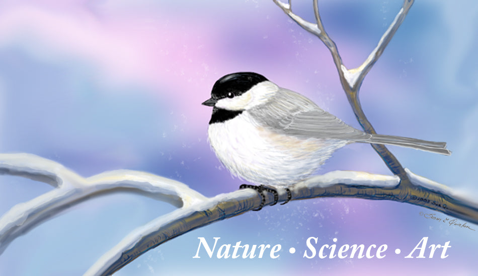 Nature • Science • Art