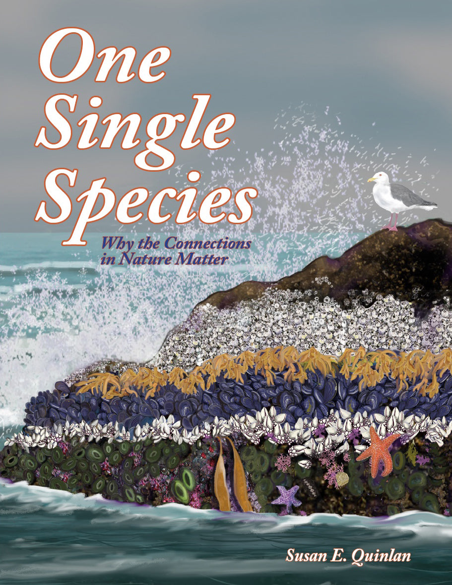 One Single Species
