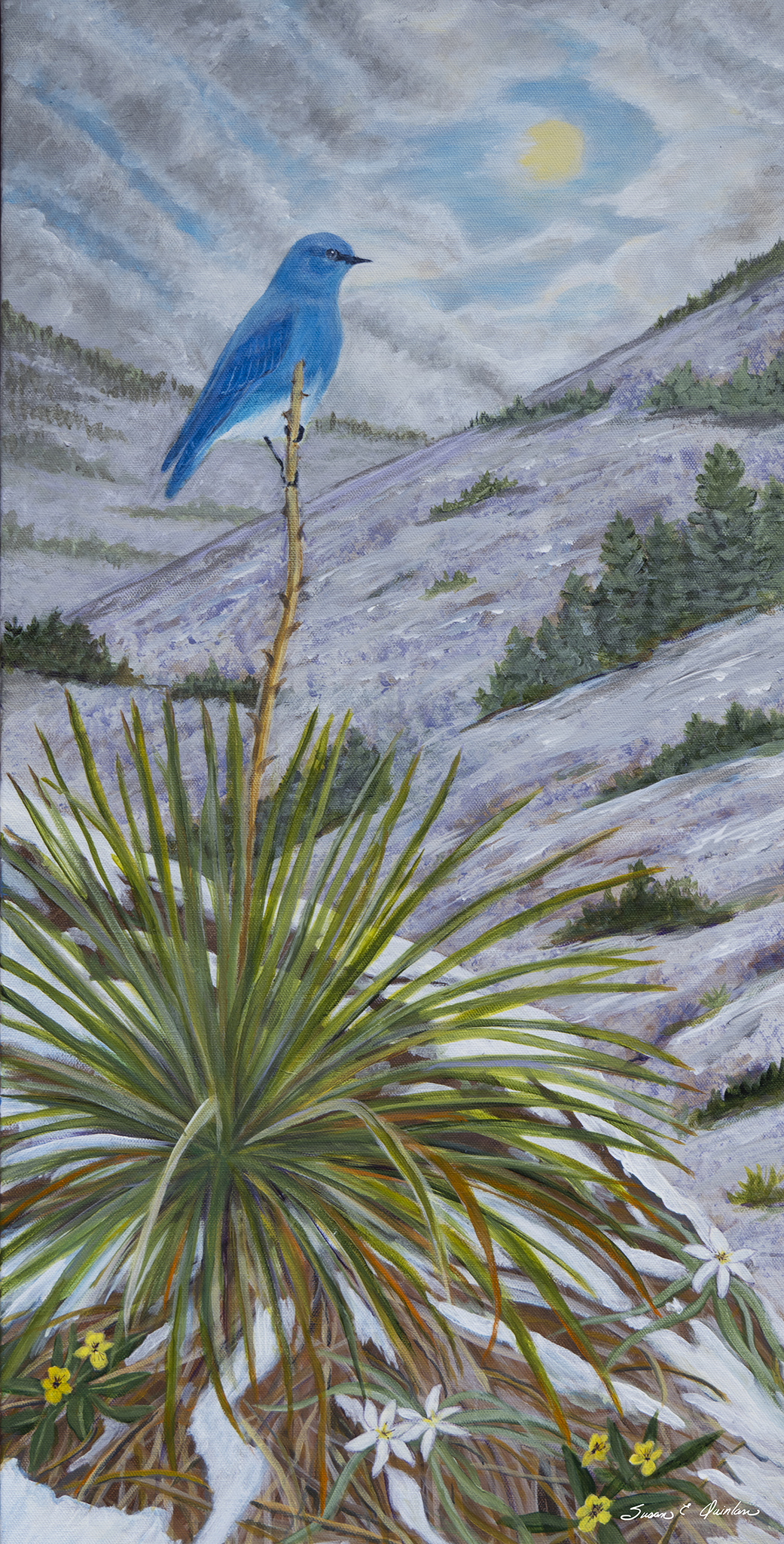 Fine Art Prints-Tall