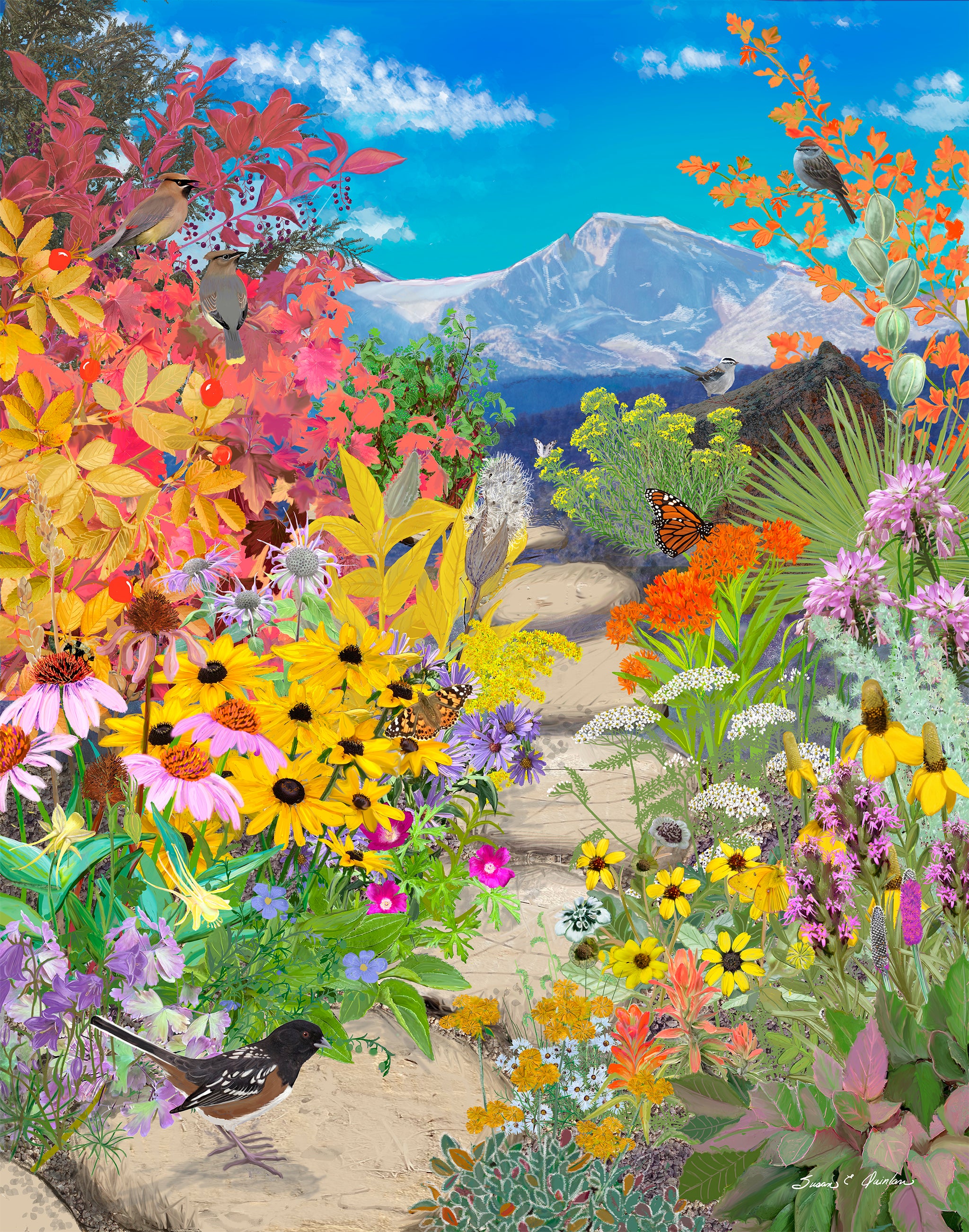 Through the Seasons: A Rocky Mountain Front Range Native Wildflower Garden in AUTUMN 10 x 8 in Giclée Print on paper
