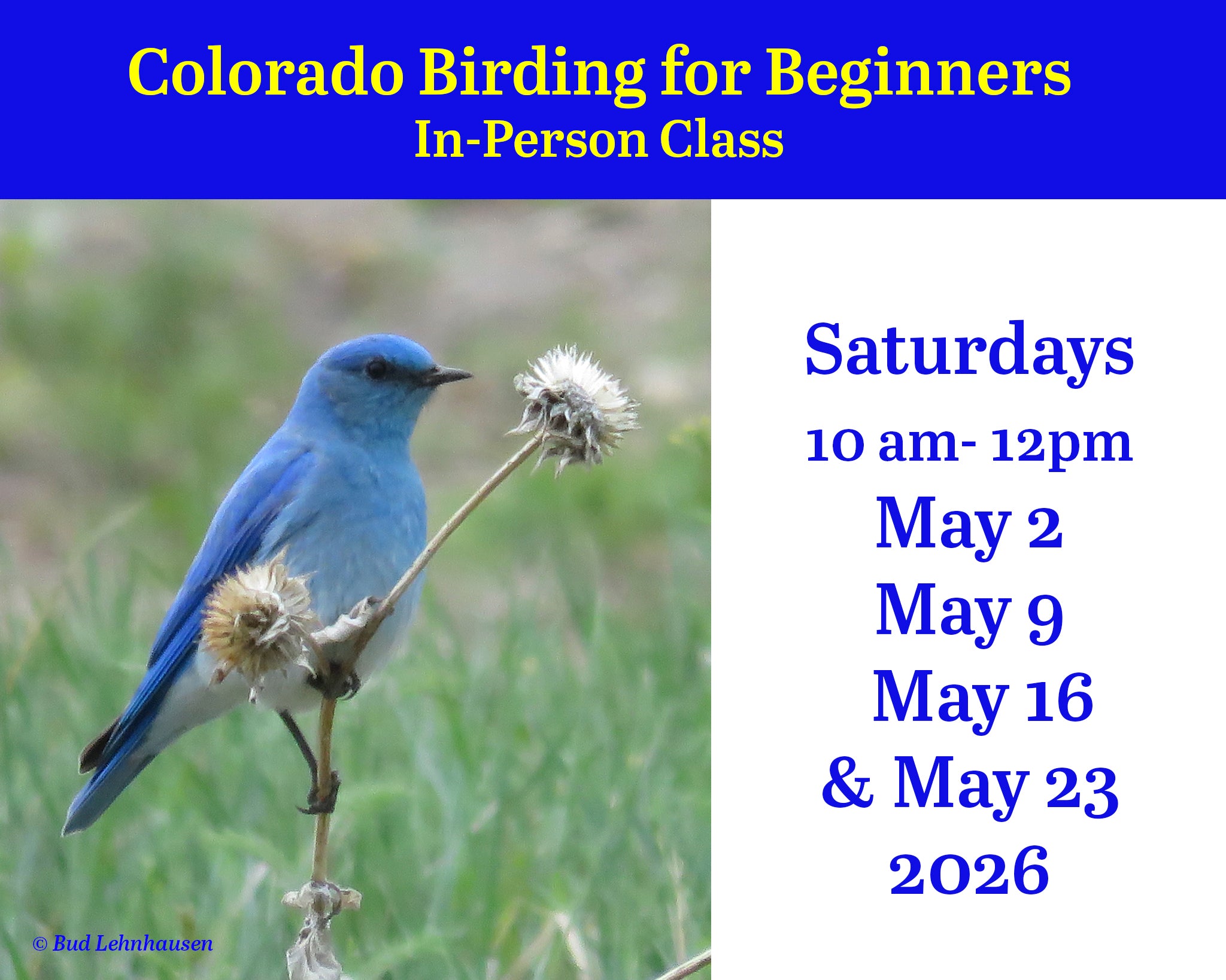 CLASS: Colorado Birding For Beginners