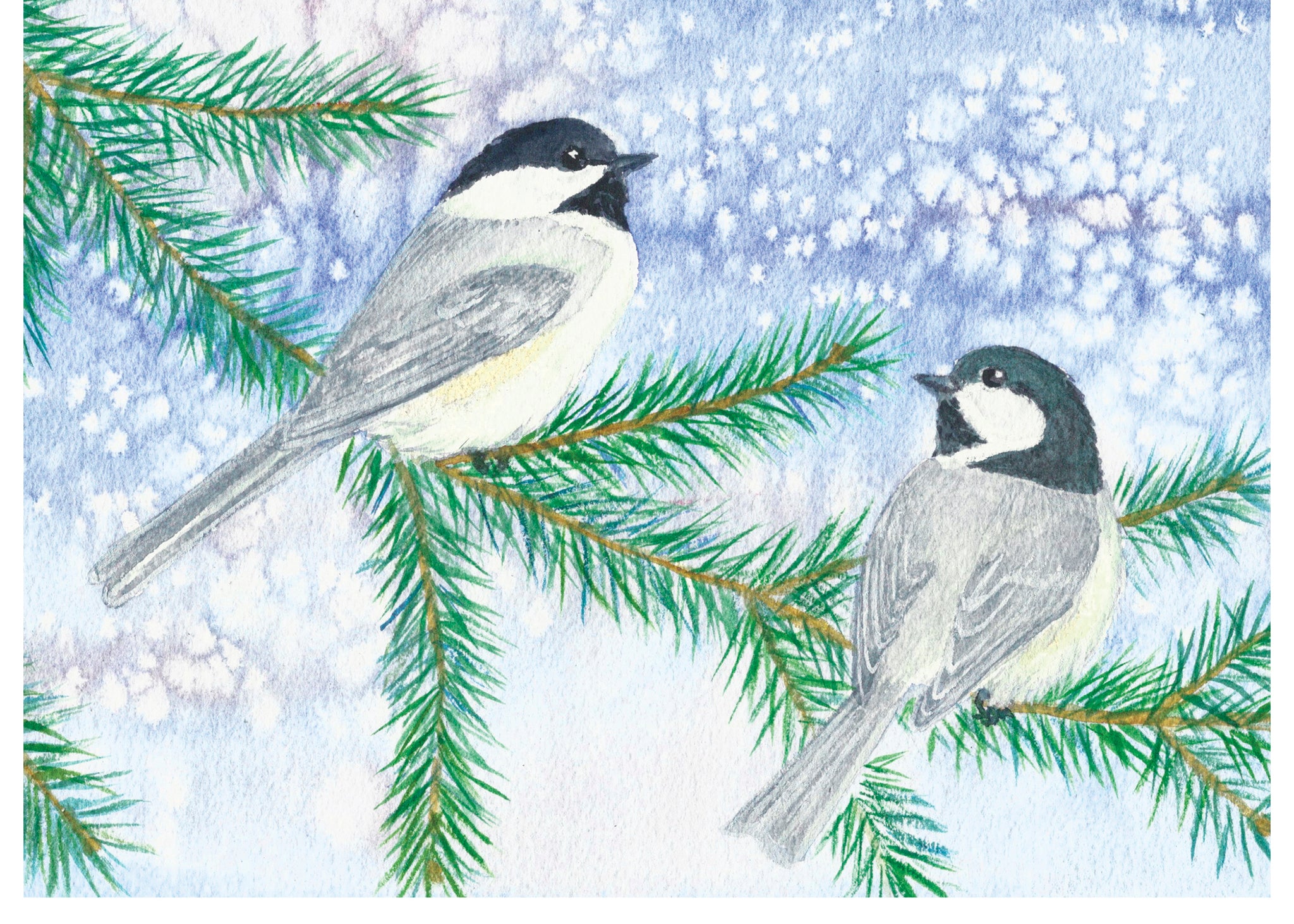 Chickadee Card Collection
