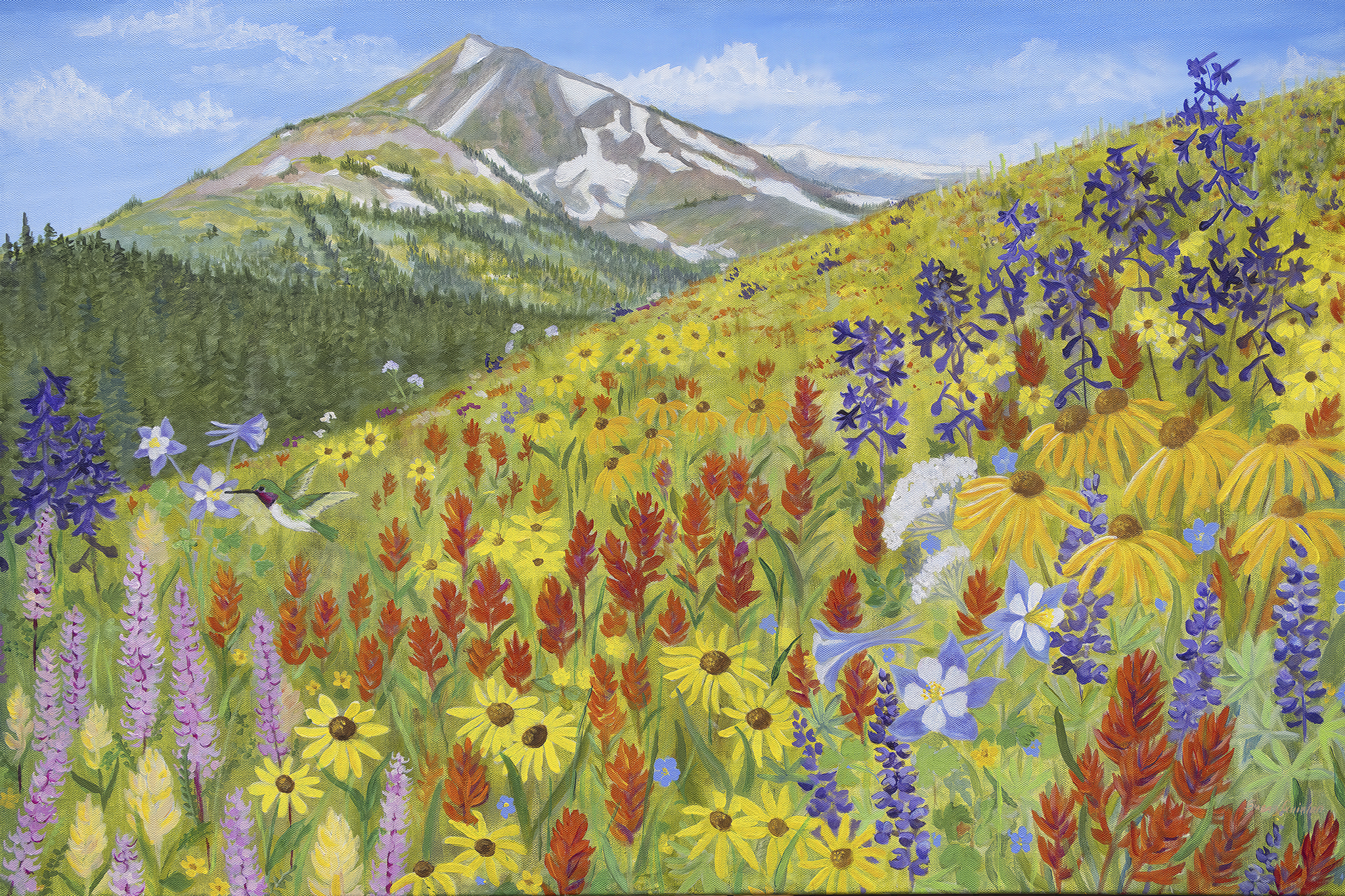 Crested Butte Summer