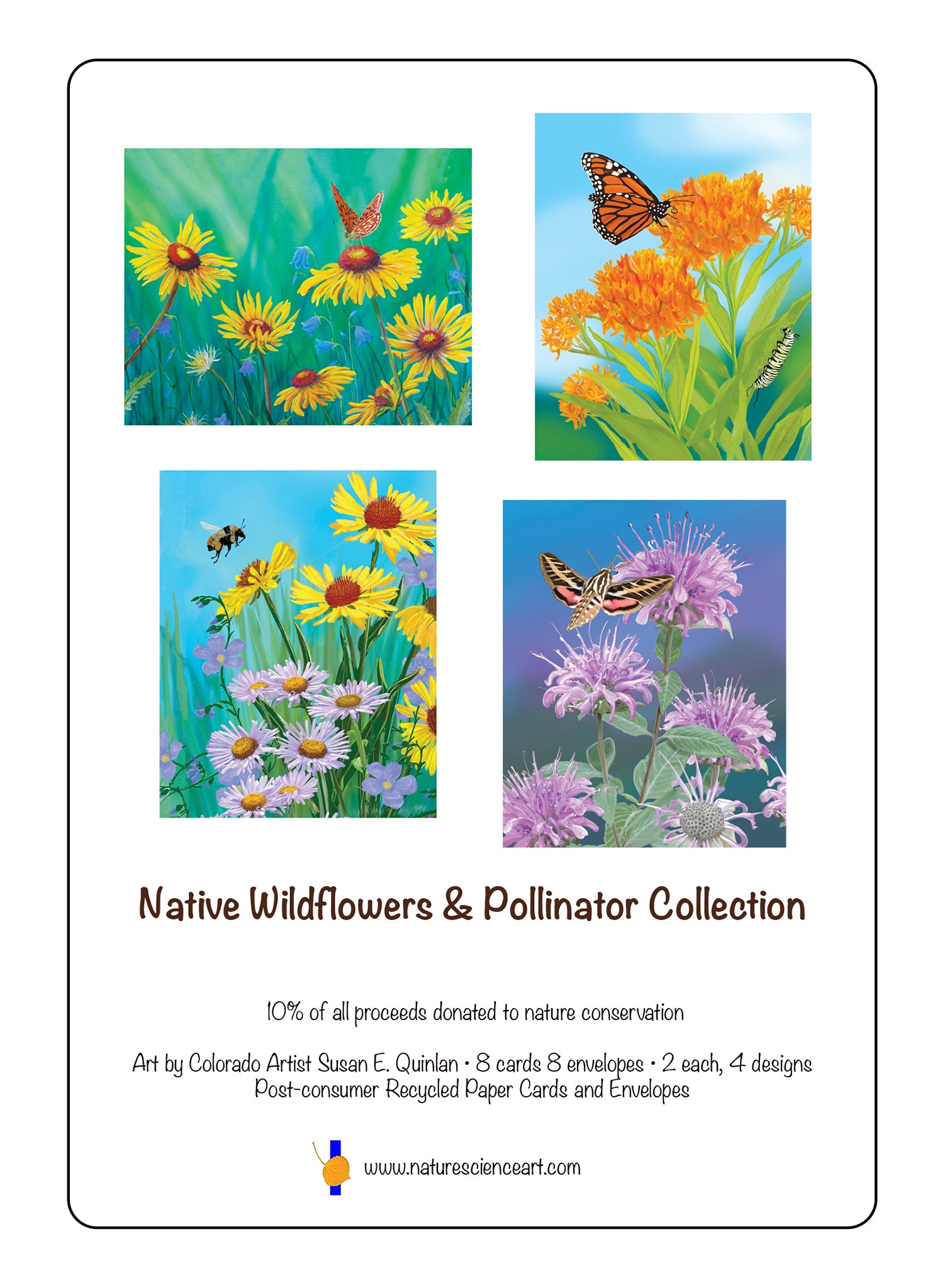 Native Wildflowers & Pollinators Greeting Cards
